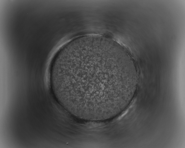 X0000094360343200711162055