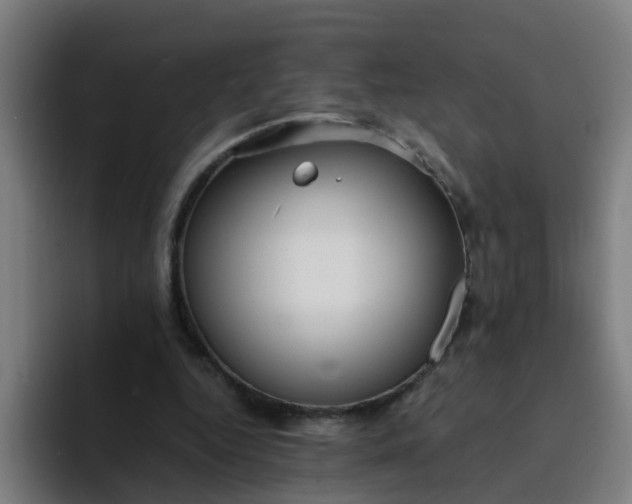 X0000094360344200711162055