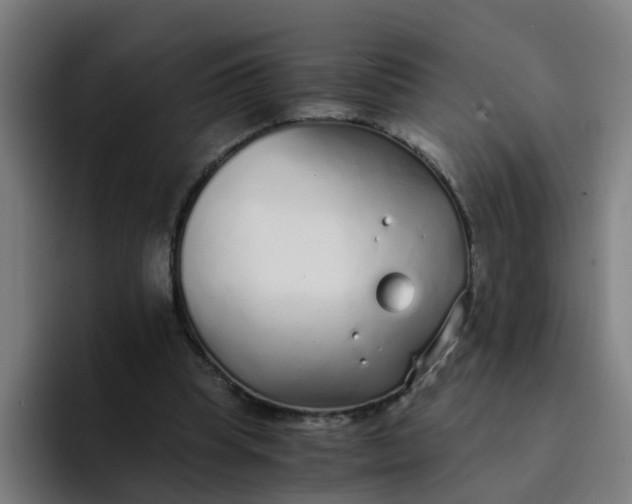 X0000094360345200711162055