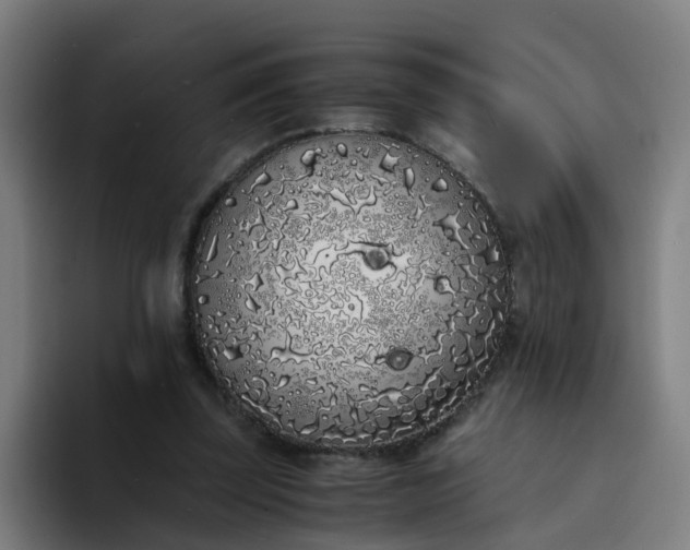 X0000094360347200711162055