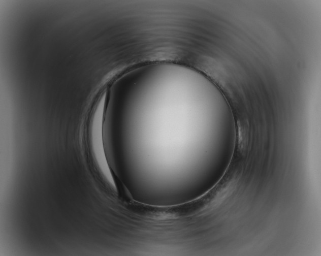 X0000094360348200711162055