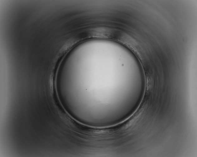 X0000094360349200711162055