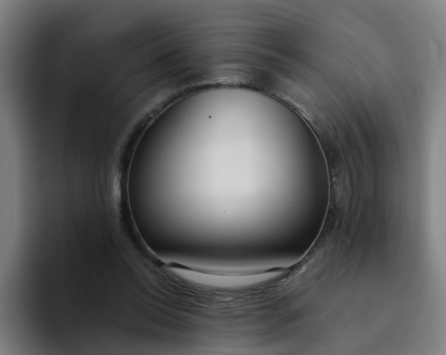 X0000094360350200711162055