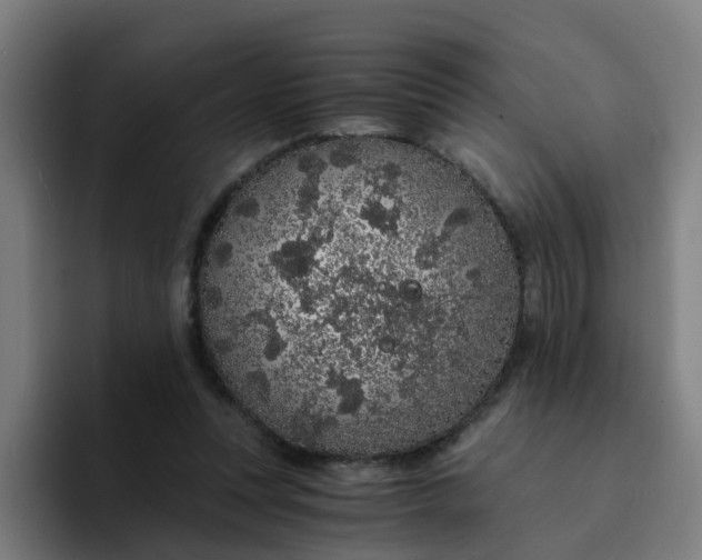 X0000094360351200711162055