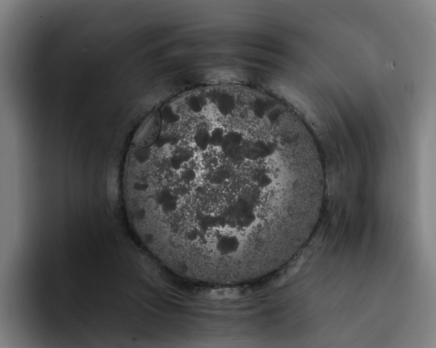 X0000094360353200711162055