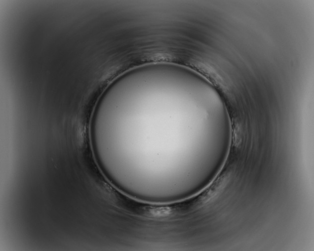 X0000094360355200711162055