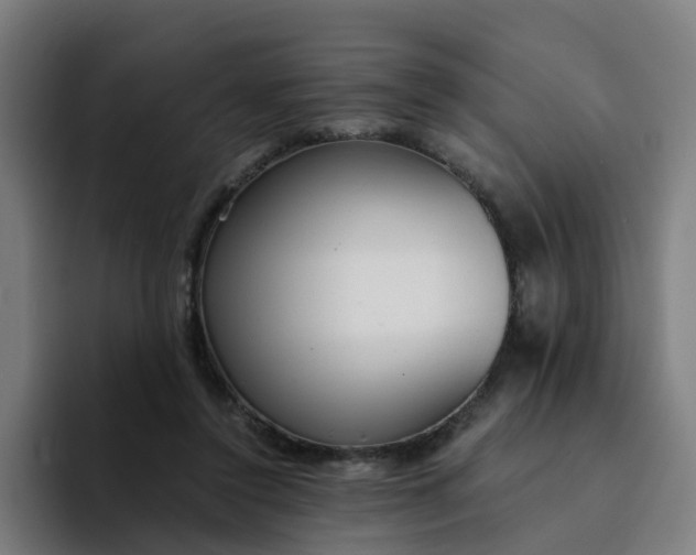 X0000094360356200711162055