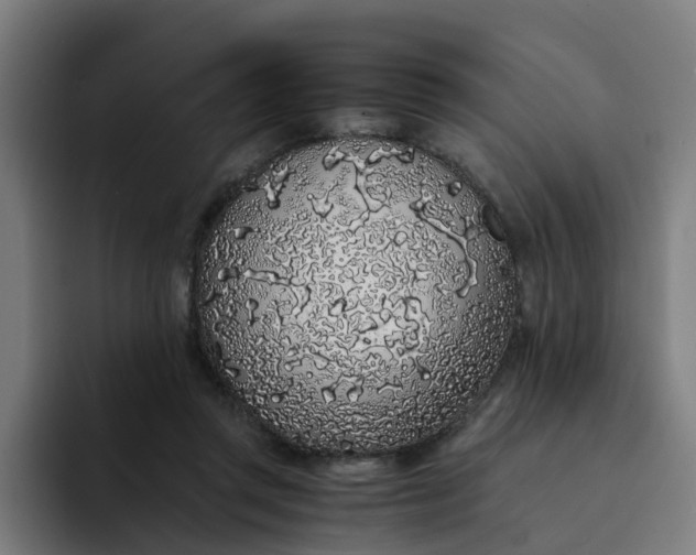 X0000094360357200711162055