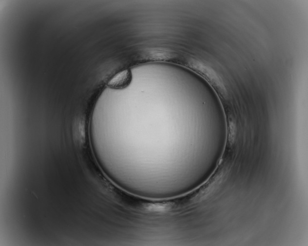 X0000094360358200711162055