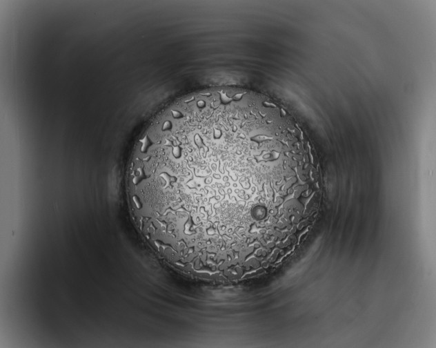 X0000094360359200711162055