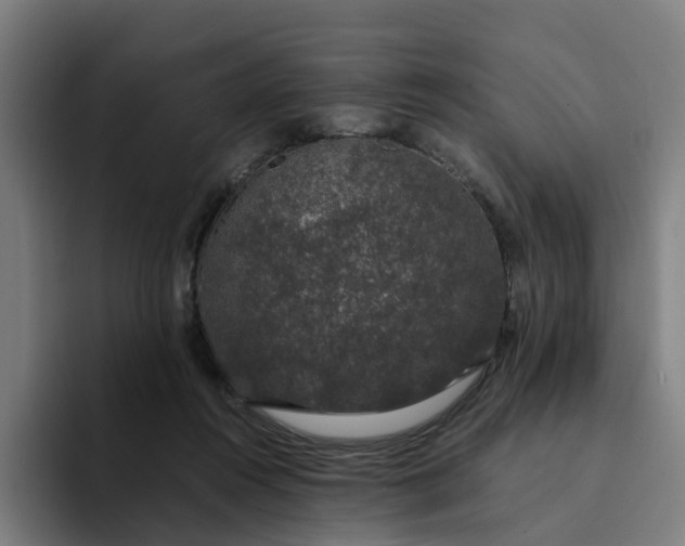 X0000094360360200711162055