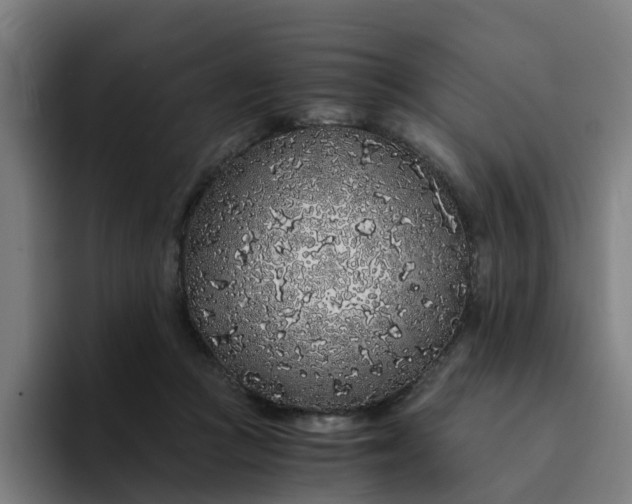 X0000094360361200711162055