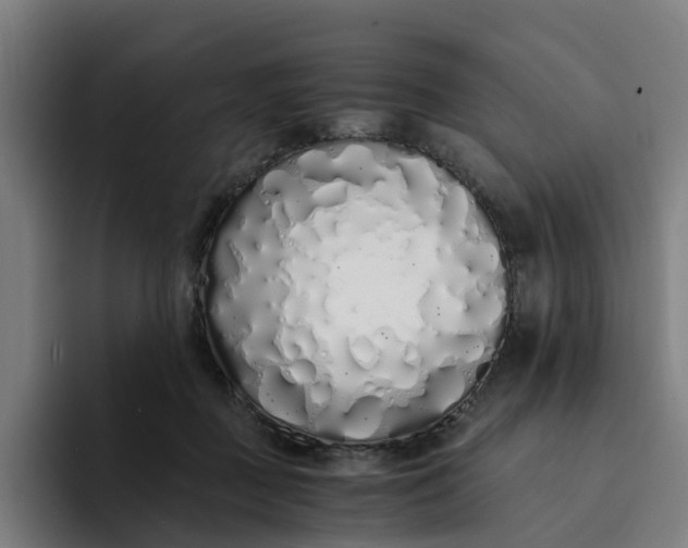 X0000094360363200711162055