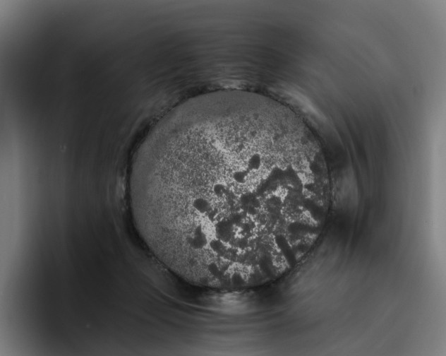 X0000094360365200711162055