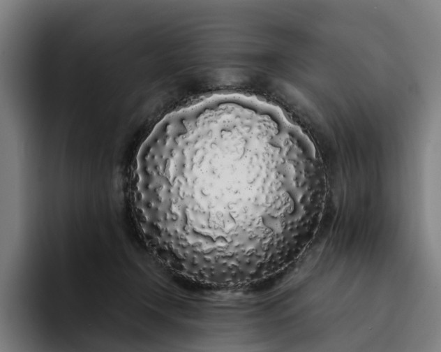 X0000094360366200711162055