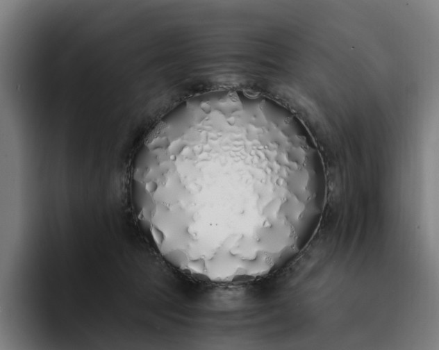 X0000094360369200711162055