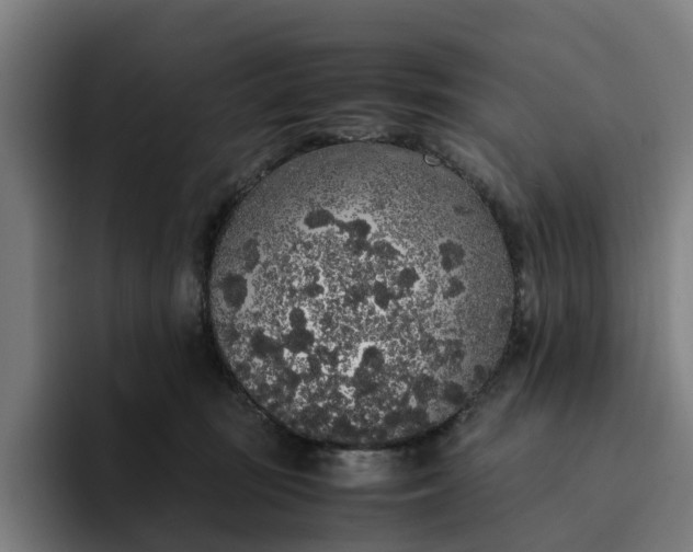 X0000094360371200711162055