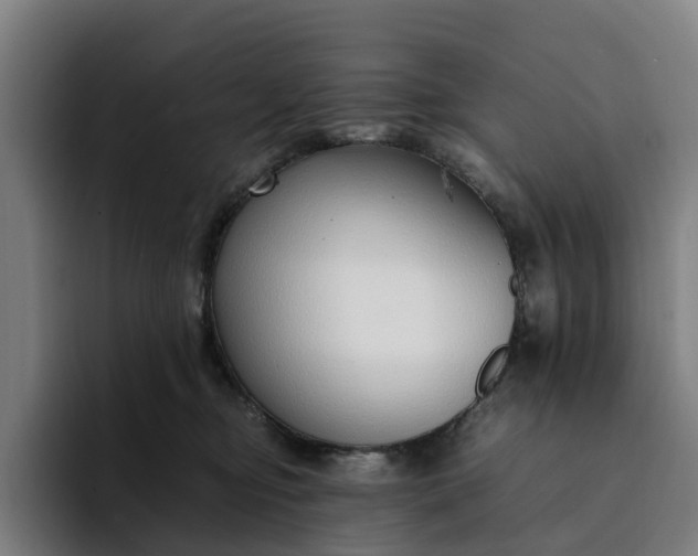 X0000094360374200711162055