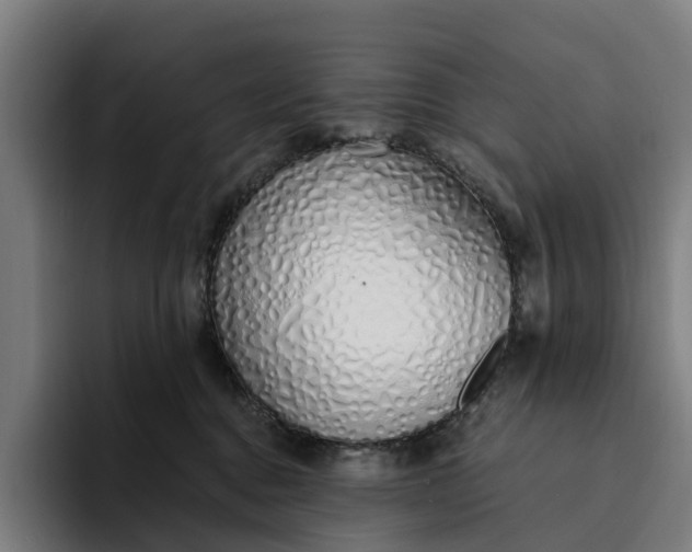 X0000094360376200711162055