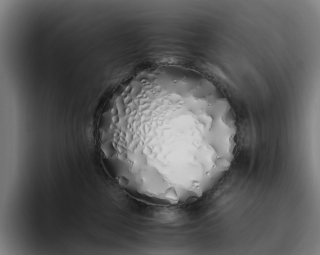 X0000094360377200711162055