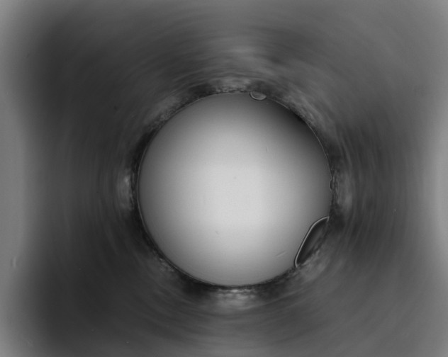 X0000094360378200711162055