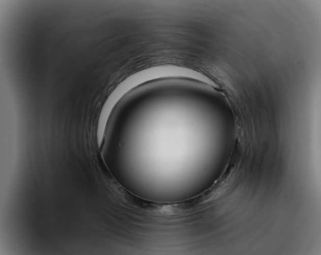 X0000094360382200711162055