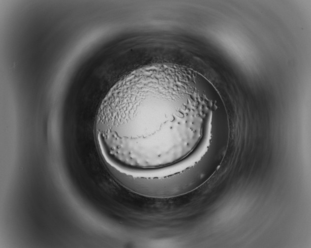 X0000094360383200711162055