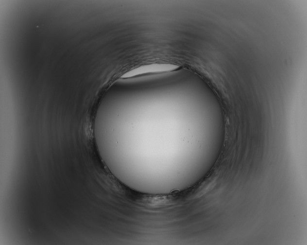 X0000094360384200711162055