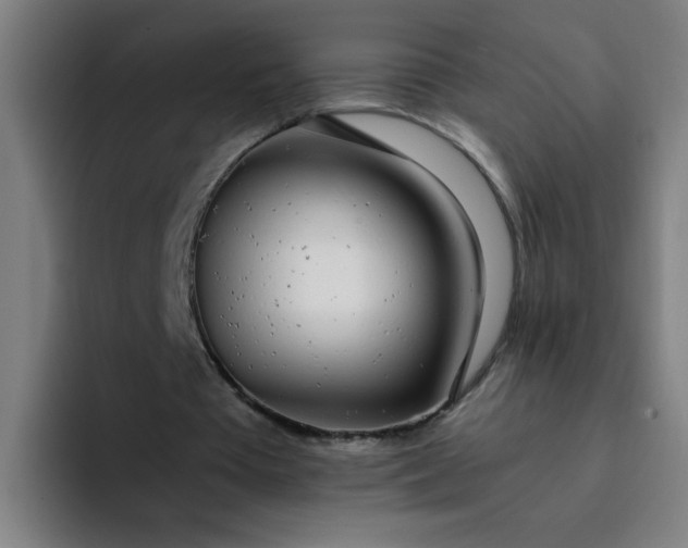 X0000094360385200711162055