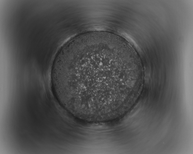 X0000094360386200711162055