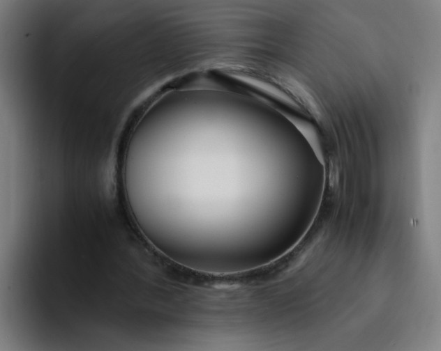 X0000094360388200711162054