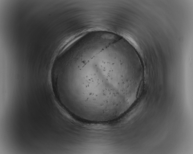 X0000094360389200711162054