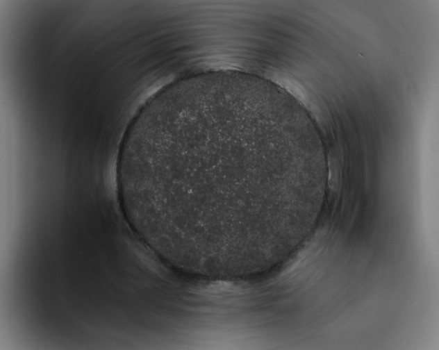 X0000094360390200711162054