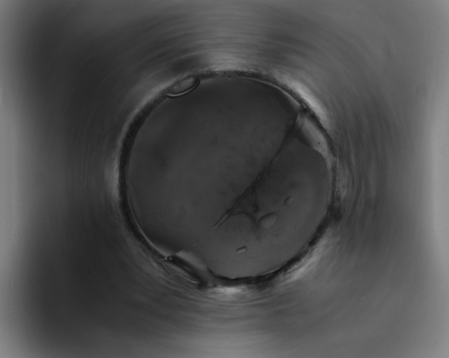 X0000094360391200711162054