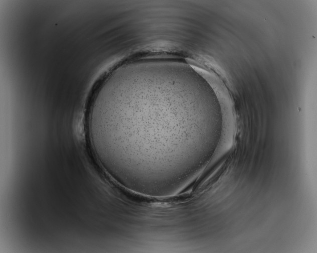 X0000094360392200711162054