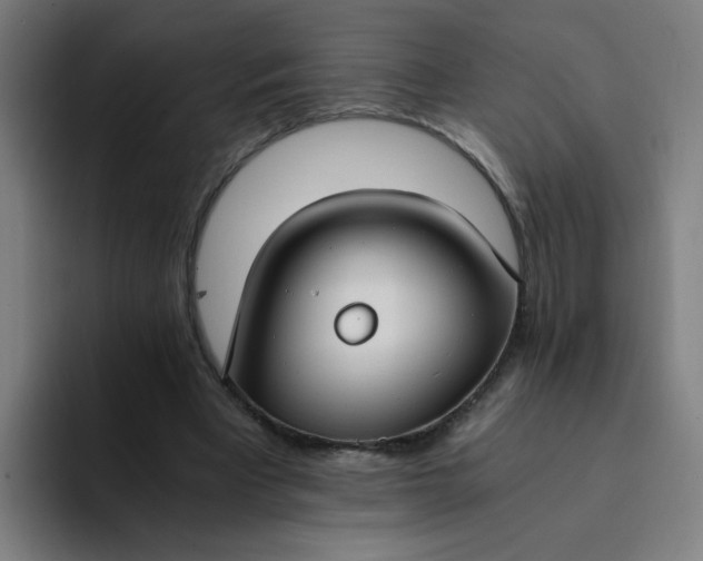 X0000094360393200711162054