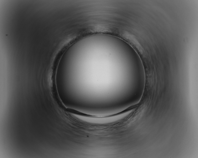 X0000094360395200711162054