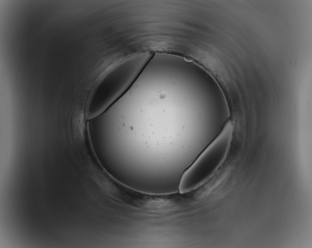 X0000094360397200711162054