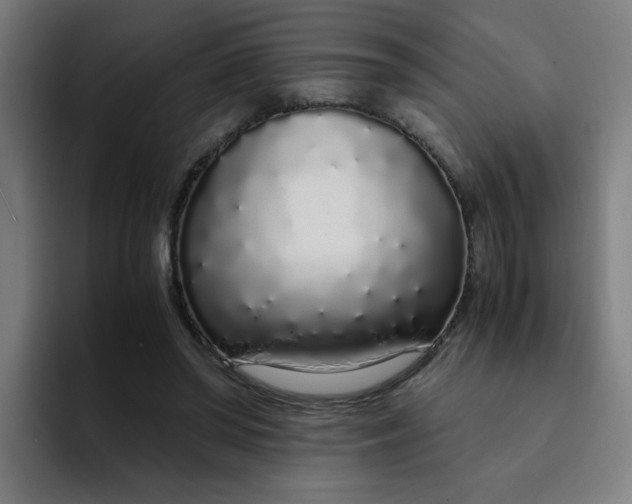 X0000094360398200711162054