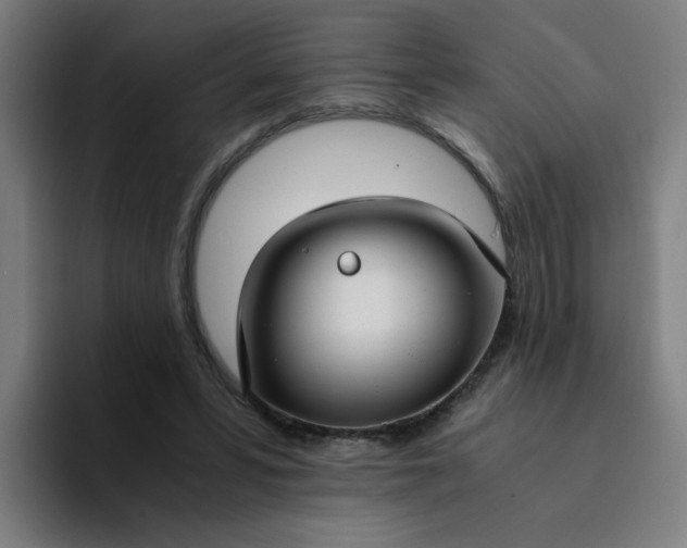 X0000094360399200711162054