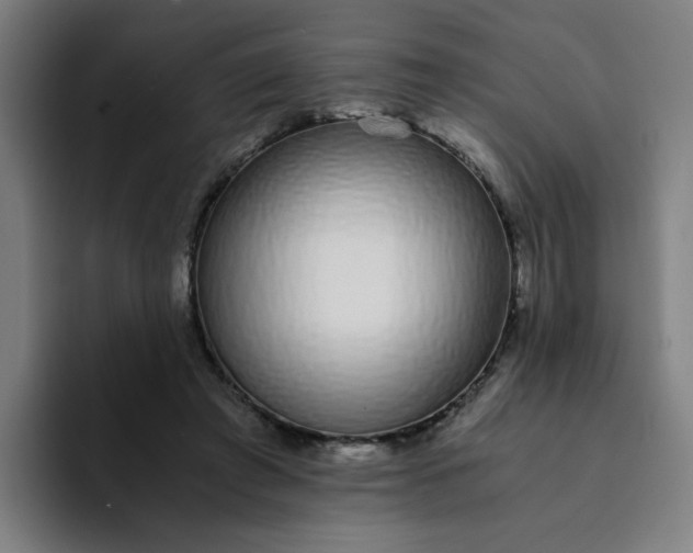 X0000094360401200711162054