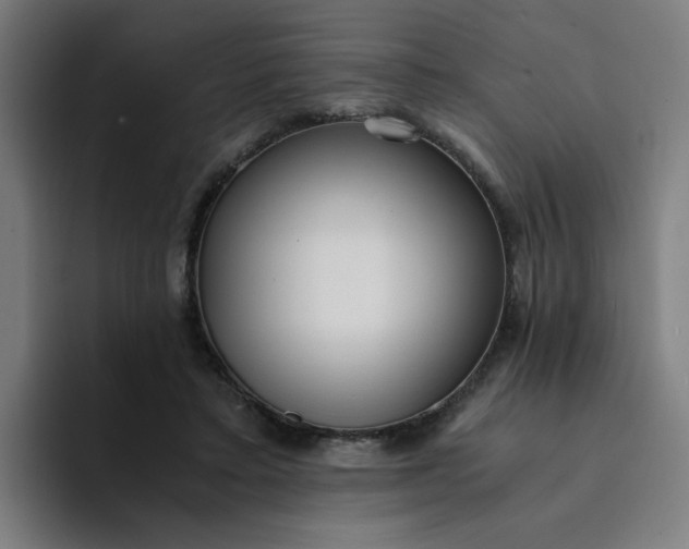 X0000094360403200711162054