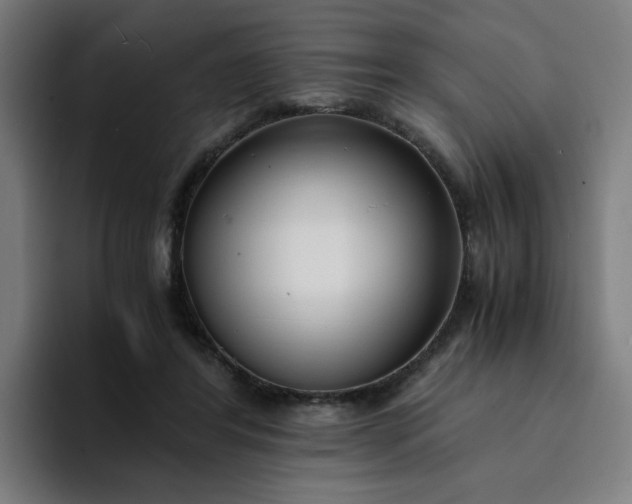 X0000094360404200711162054