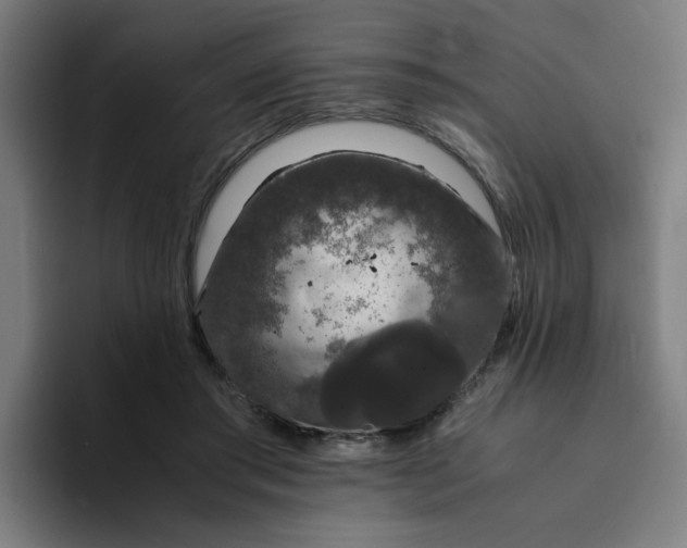 X0000094360405200711162054