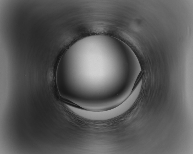 X0000094360407200711162054