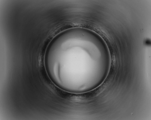 X0000094360408200711162054