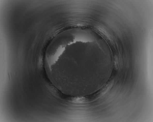 X0000094360410200711162054