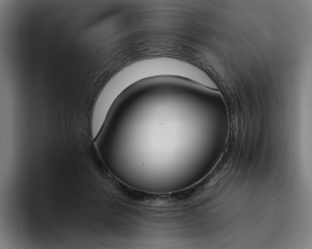 X0000094360412200711162054