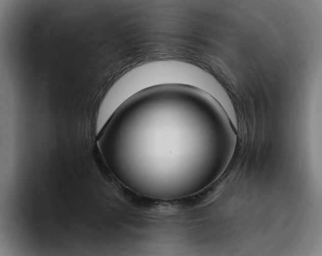 X0000094360416200711162054