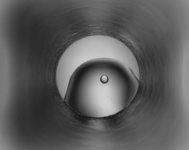 X0000094360417200711162054